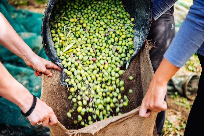 Afternoon Tour: Soap, Olive Oil & Wine Stories of Peza Village - Turning olive oil into handmade soap