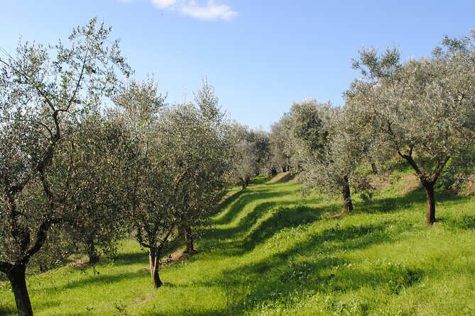 Afternoon Tour: Soap, Olive Oil & Wine Stories of Peza Village - What the food adds to the afternoon
