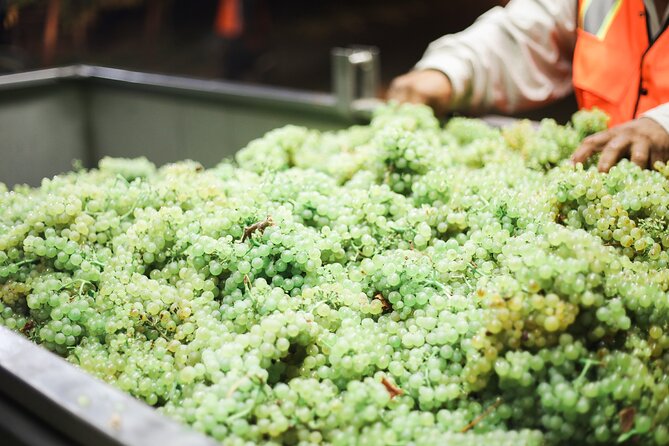 Afternoon Tour: Soap, Olive Oil & Wine Stories of Peza Village - Who will enjoy this Cretan afternoon