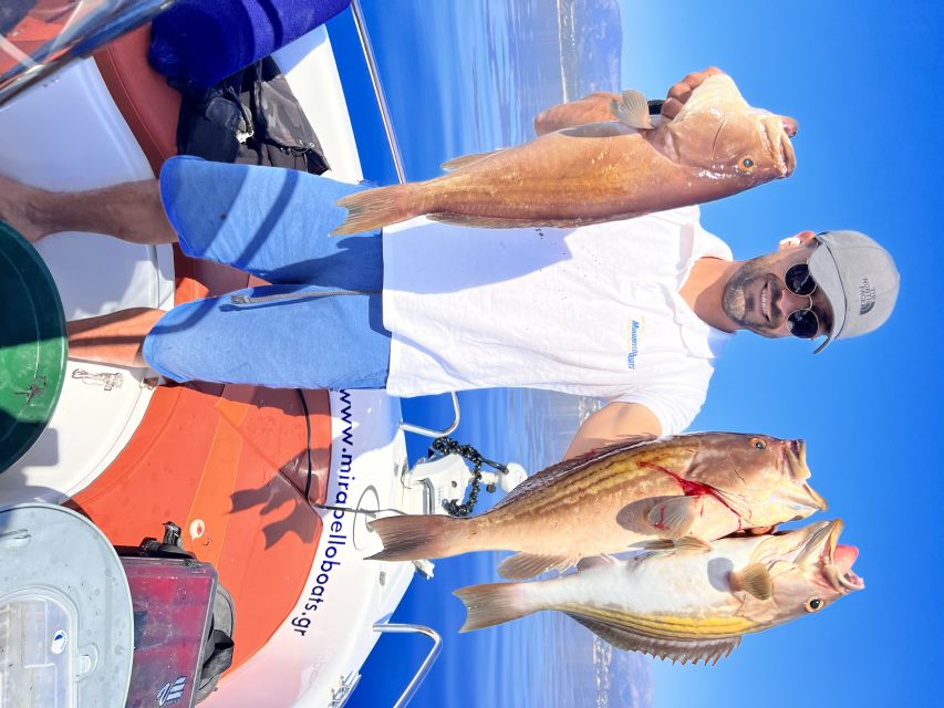 Agios Nikolaos: Mirabello Bay Fishing Trip - Agios Nikolaos from the water