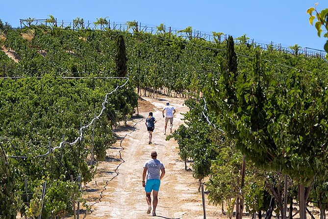 “ARISMARI” – Vineyard Tour & Wine Tasting - Key points to know before booking