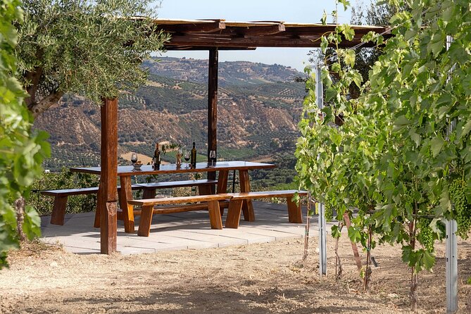 “ARISMARI” – Vineyard Tour & Wine Tasting - The value of the six-wine tasting