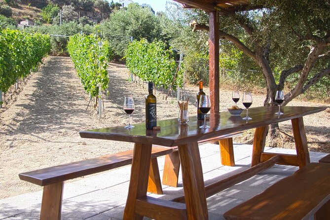 “ARISMARI” – Vineyard Tour & Wine Tasting - Weather, cancellation, and timing