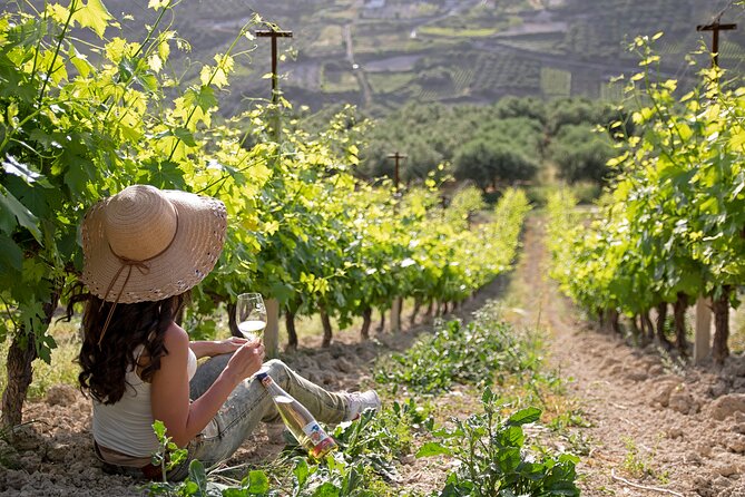 “ARISMARI” – Vineyard Tour & Wine Tasting - Why the small group size matters