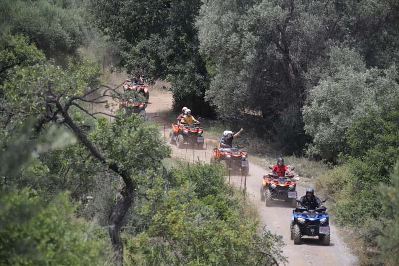 Bali & Panormo Rethymno:Quad Safari & visit Cave 57km 4hours - Quad riding through the olive groves