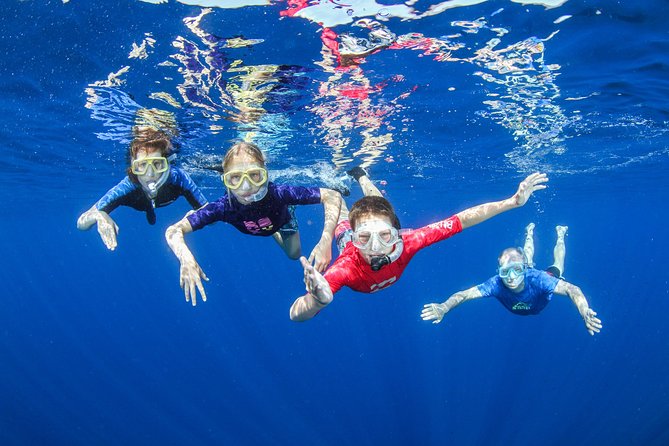 Boat Trip in Crete with Guided Snorkeling and Free Pick up! - Key points to know before booking