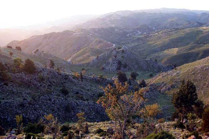 Chania 4x4 Sunset Safari Tour - Leaving Chania for the orange groves