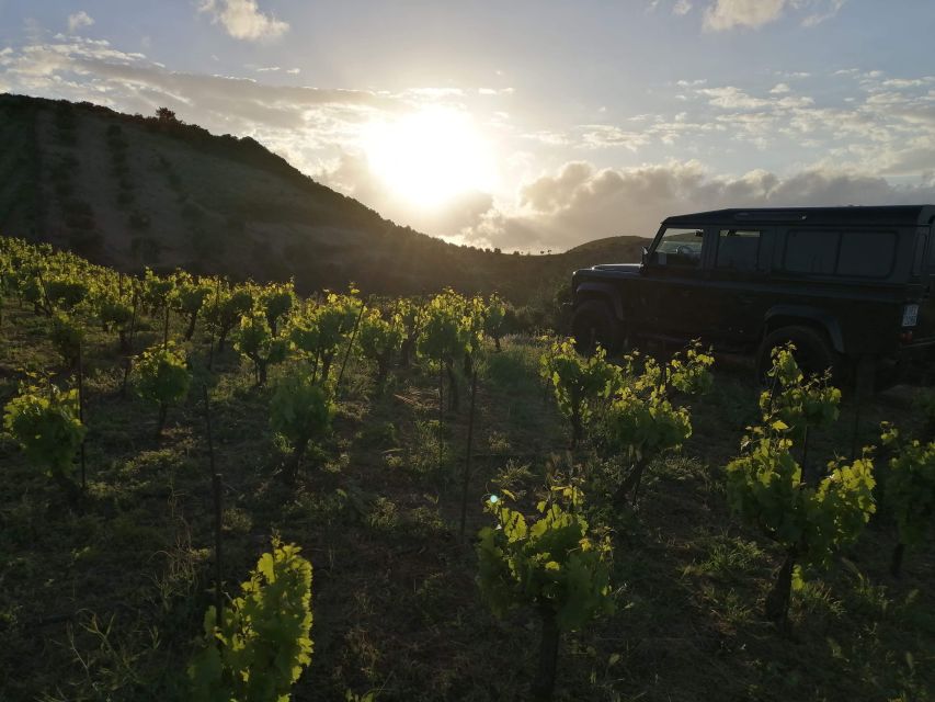 Chania 4x4 Sunset Safari Tour - Who should book this Chania safari