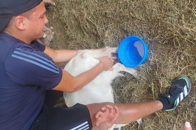 Chania Area: Cooking Class at a Farm in Stylos Village (organic) - Why this farm visit feels different from a standard cooking class