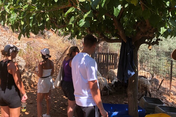 Chania Area: Cooking Class at a Farm in Stylos Village (organic) - What the $145.99 price gets you