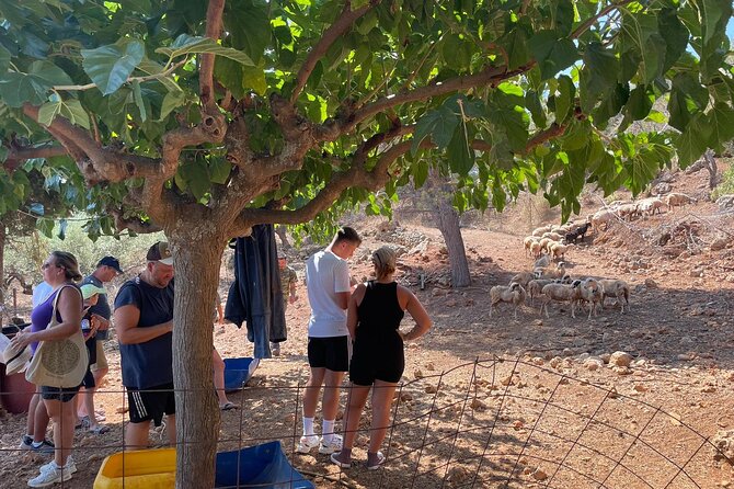 Chania Area: Cooking Class at a Farm in Stylos Village (organic) - Who will enjoy this most