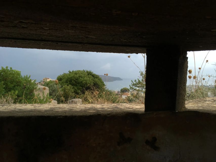 Chania Battle of Crete Private Tour: WW2 Military History - The private museum and war shelter