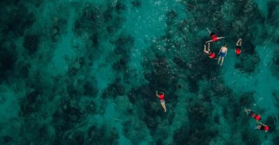 Boat Trip with Guided Snorkeling Tour