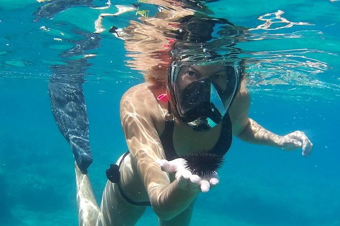 Chania: Boat Trip with Guided Snorkeling Tour & SUP - How the guided snorkeling works