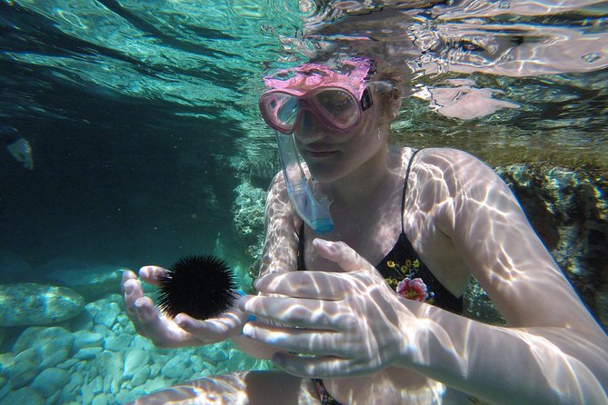 Chania: Boat Trip with Guided Snorkeling Tour & SUP - SUP, when the wind allows it