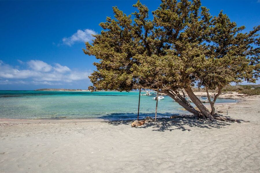 Chania: Elafonisi and Milia Mountain with Loungers and Lunch - Should you book the Elafonisi and Milia tour?