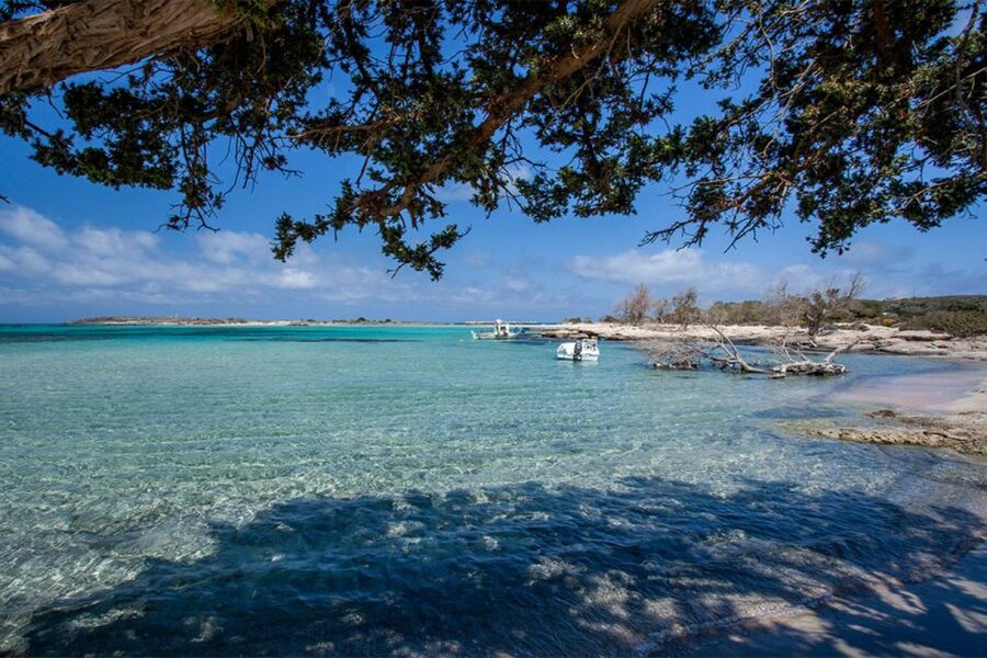Chania: Elafonisi and Milia Mountain with Loungers and Lunch - Who should book this experience?