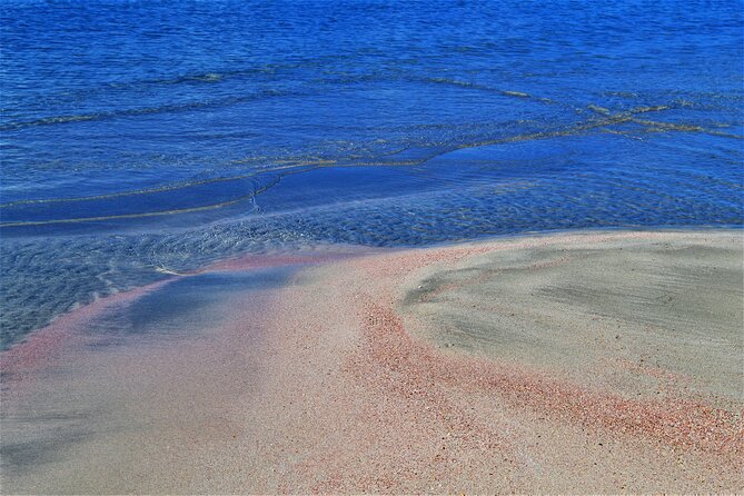 Chania: Elafonisi & Falasarna Private Tour w/olive oil tasting - Food, drinks, and beach costs