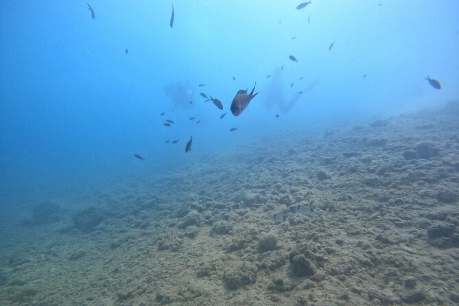 Chania Guided Snorkeling and Boat Excursion - A small crew makes the day easier