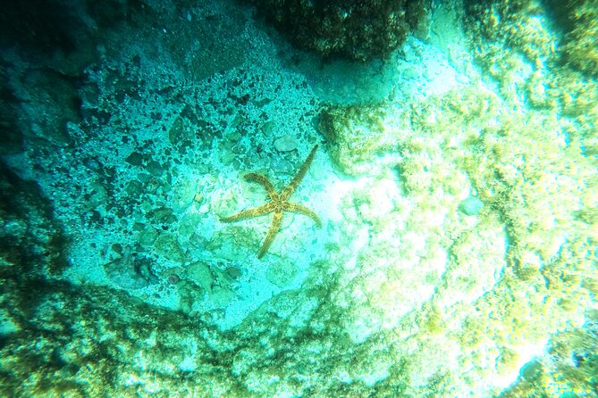 Chania Guided Snorkeling and Boat Excursion - Is $83.88 a fair price?