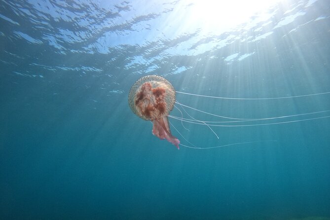 Chania Guided Snorkeling and Boat Excursion - How much time do you spend in the water?