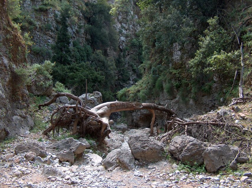 Chania: Imbros Gorge and Libyan Sea Day Tour - What the $36 price really covers