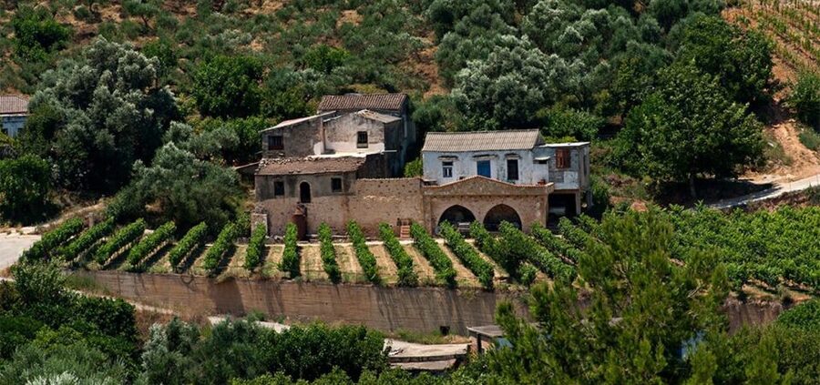 Chania: Milia Mountain Tour w/Lunch Olive Oil/Wine Tastings - Group size, comfort, and who should skip it