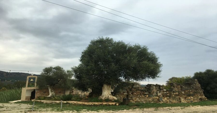 Chania Monasteries Private Tour: A Greek Orthodoxy Tribute - The first church ruins and the foundations of Orthodox worship