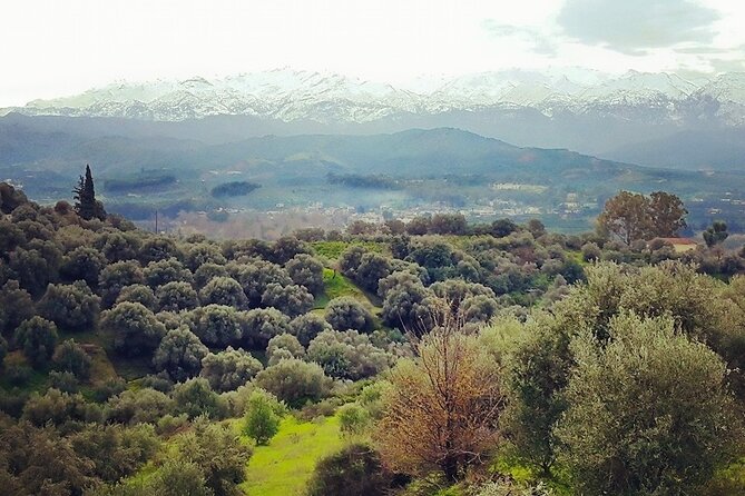 Chania Nature & Villages, White Mountains & Unique Cretan Lunch - Lake Agias and the orange valley