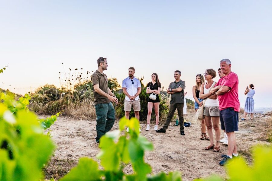 Chania: Off-Road Tour at Sunset - Should you book the Chania sunset safari?