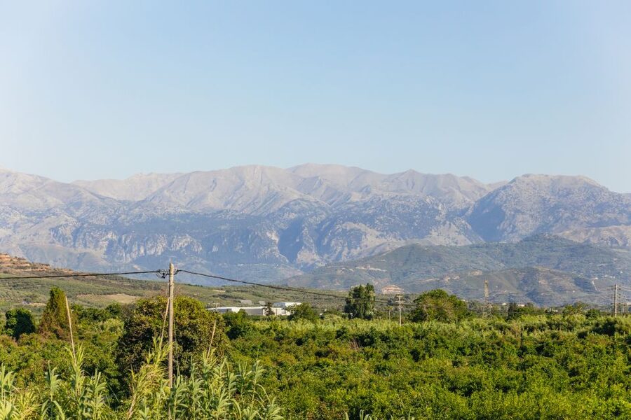 Chania: Off-Road Tour at Sunset - Meze and wine at a family-run taverna