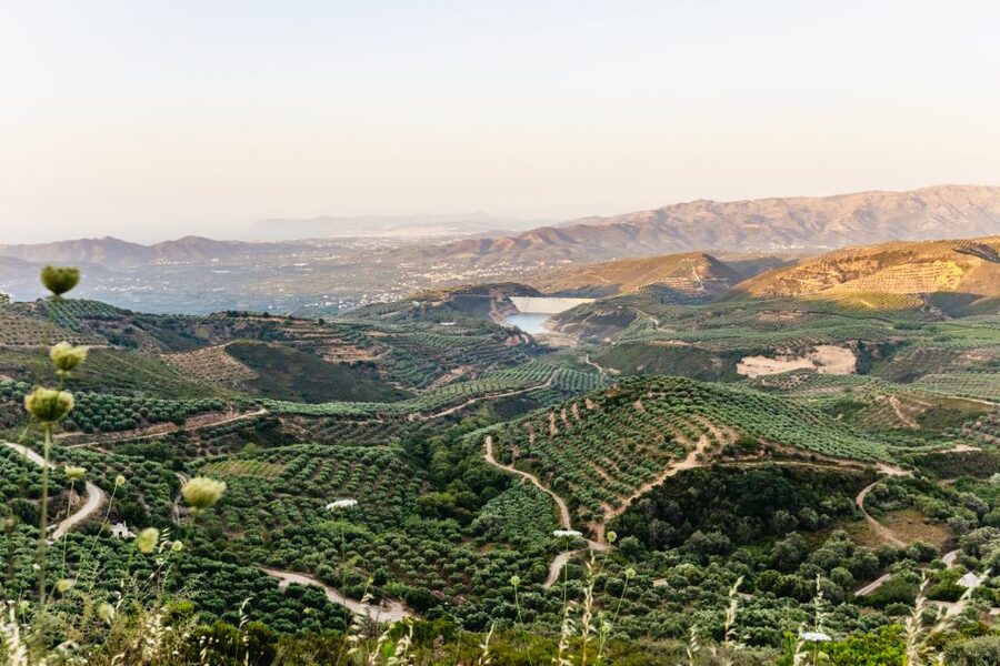 Chania: Off-Road Tour at Sunset - What $93 buys you