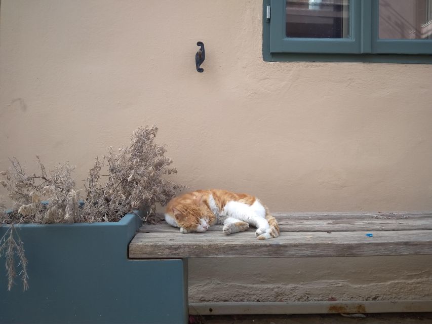 Chania Old Town: Artisans & Sightseeing Walking Tour - Modern studios, olive oil, and thyme honey