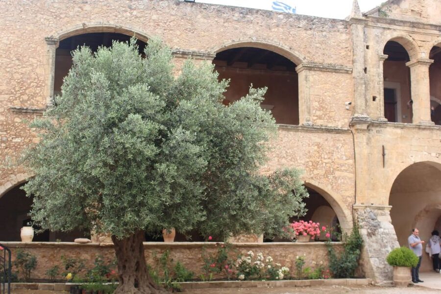 Chania Private Olive Oil Tour: Oil Tasting & Villages Tour - Key points to know before booking