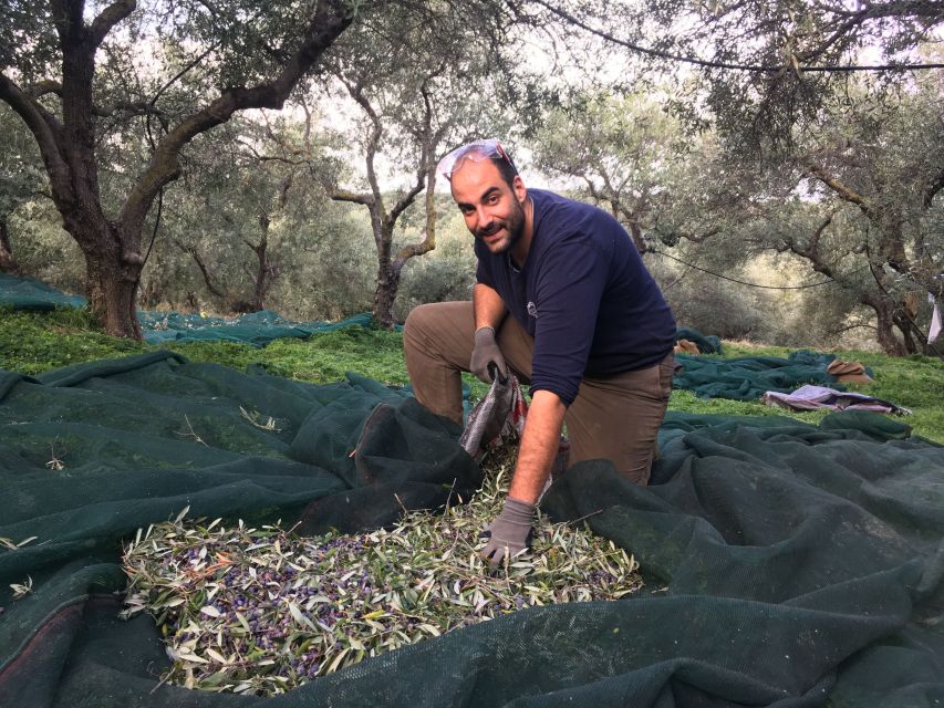 Chania Private Olive Oil Tour: Oil Tasting & Villages Tour - Who will enjoy this Chania tour most?