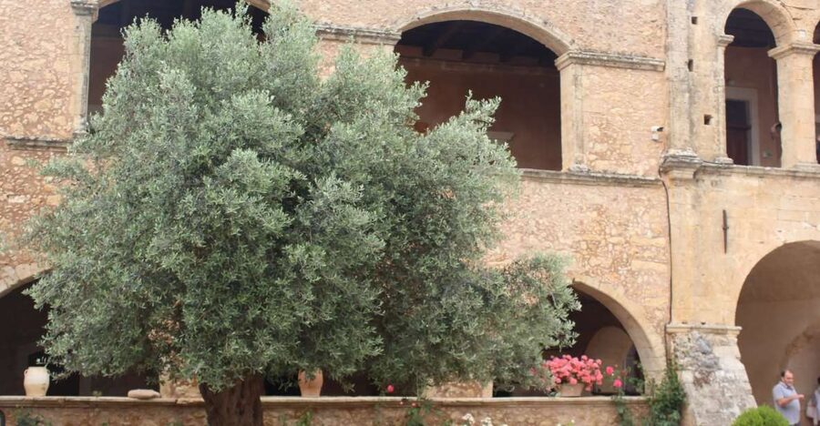 Chania Private Olive Oil Tour: Oil Tasting & Villages Tour - From Chania to the olive-growing valleys