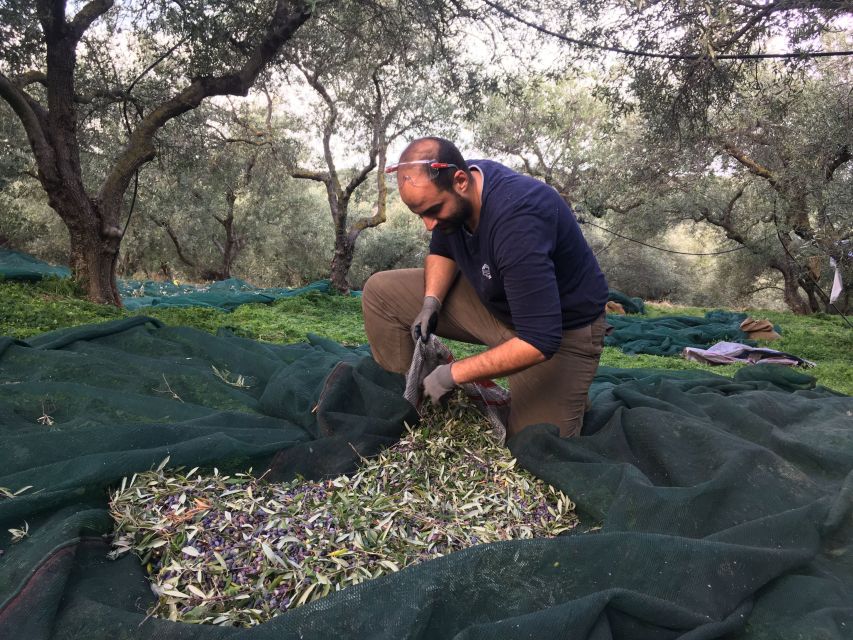 Chania Private Olive Oil Tour: Oil Tasting & Villages Tour - Comparing old and modern olive oil mills