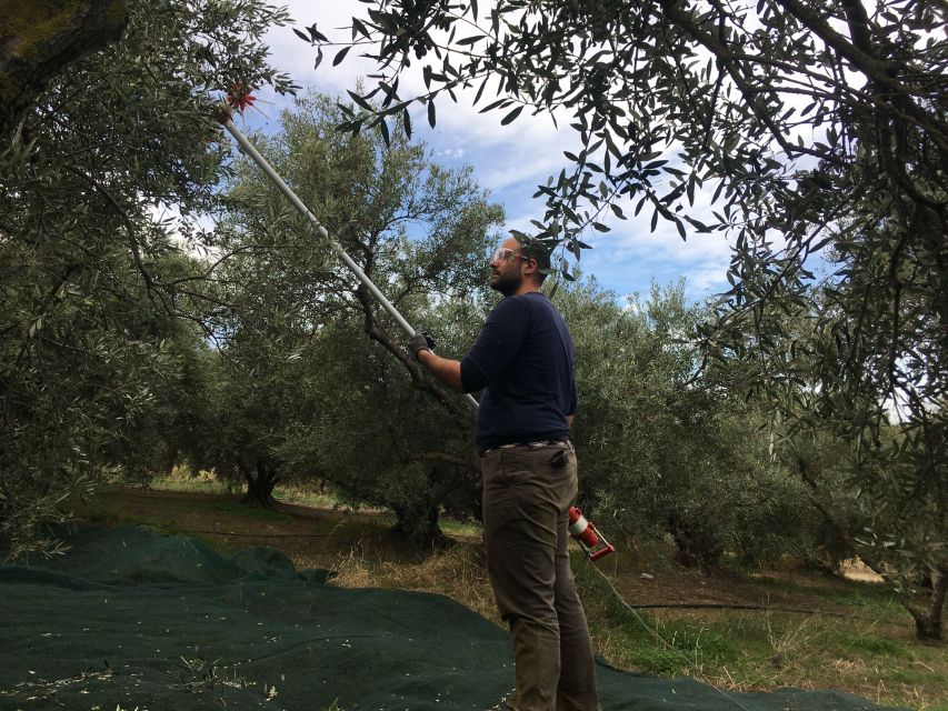 Chania Private Olive Oil Tour: Oil Tasting & Villages Tour - Vryses, rivers, and the slower side of Apokoronas