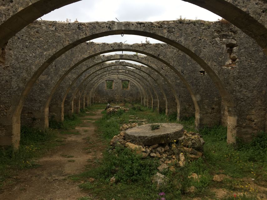 Chania Private Olive Oil Tour: Oil Tasting & Villages Tour - Learning the olive tree from a working farmer