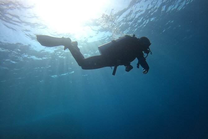Chania Scuba Diving 2 Shore Dives(Receive Certification) - Is $204.70 a fair price?