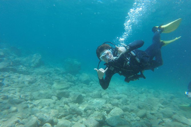 Chania: Scuba Diving for Beginners - The 45-minute session below the surface