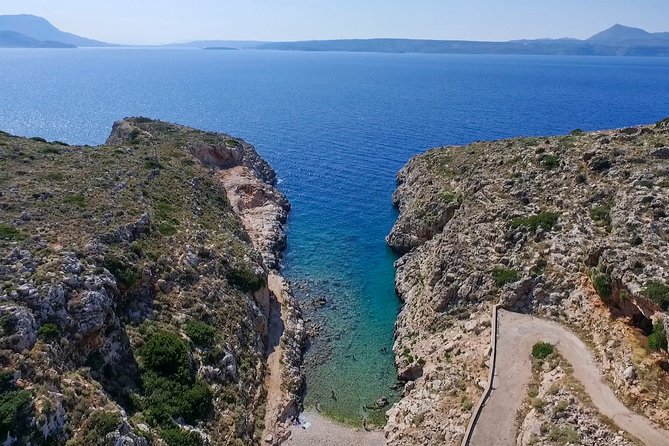 Chania: Scuba Diving for Beginners - Marine life, photos, and the memory of the day