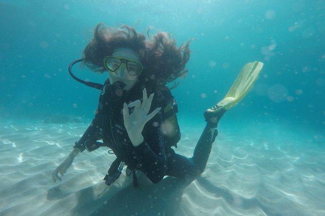 Chania: Scuba Diving for Beginners - Who will enjoy this beginner session most