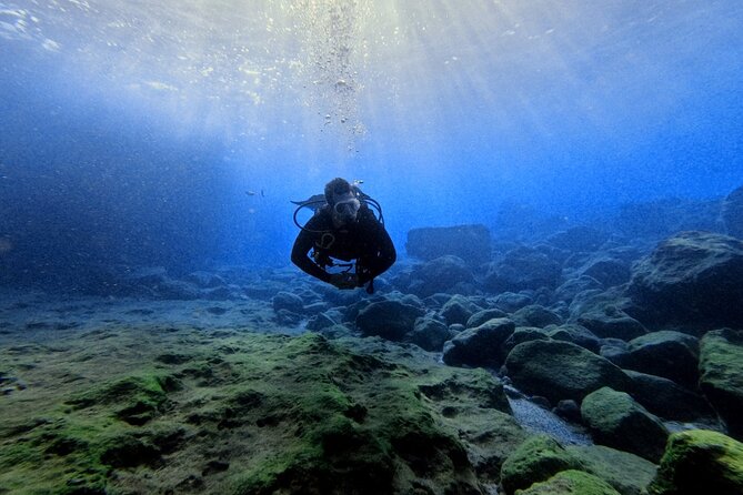 Chania Scuba Diving | Shore Dives | Certified Divers - A refresher if your last session was over a year ago