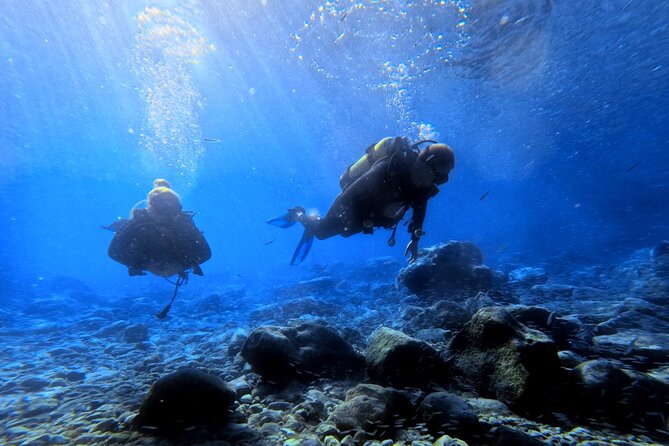 Chania Scuba Diving | Shore Dives | Certified Divers - One or two underwater sessions, led by a PADI instructor
