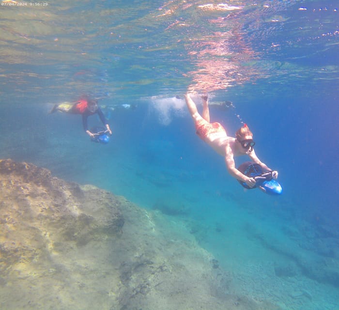 Chania: Sea Scooter Snorkeling boat tour - What you are likely to see underwater