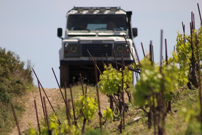Chania Shore Excursion Off Road Vineyard and Winery Tour Half Day - Manousakis Winery, from vines to glass