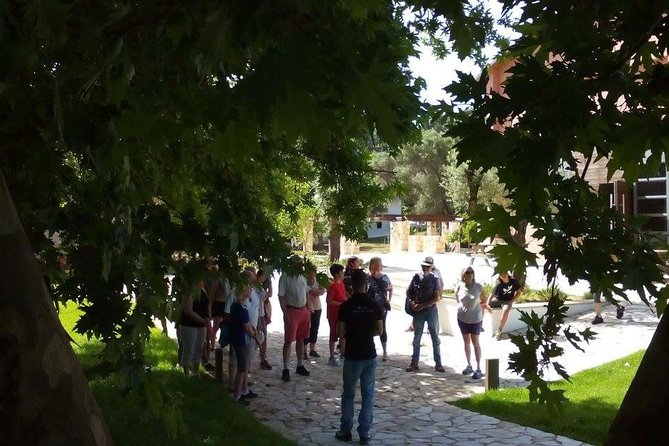 Chania Shore Excursion Off Road Vineyard and Winery Tour Half Day - The guides can make or break the ride