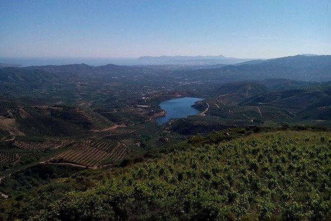 Chania Shore Excursion Off Road Vineyard and Winery Tour Half Day - Who should book this Chania wine tour?