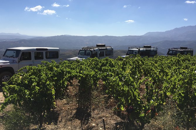 Chania Shore Excursion Off Road Vineyard and Winery Tour Half Day - Timing, weather, and cancellation details